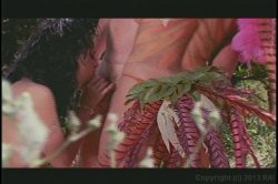 Captura de 'Guys Blown Wild' nº 87