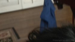 Captura de 'Sean Michaels' The Black Pack' nº 15