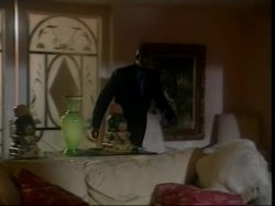 Captura de 'Tera Patrick Caught In The Act!' nº 34