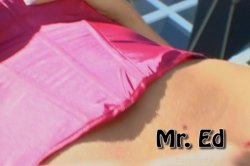 'Mr. Ed' screenshot nº 2