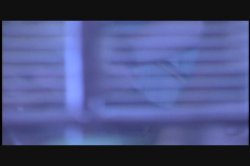Captura de 'United States Of Pussy' nº 137