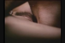 Captura de 'Erotic Radio WSEX' nº 137