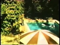 Captura de 'Peepshow Loops 108: '70s & '80s (All Color)' nº 83