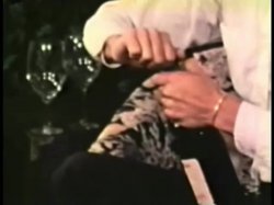 Captura de 'Peepshow Loops 108: '70s & '80s (All Color)' nº 95