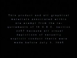 Captura de 'Peepshow Loops 108: '70s & '80s (All Color)' nº 1