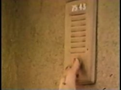 Captura de 'Peepshow Loops 108: '70s & '80s (All Color)' nº 108