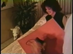 Captura de 'Peepshow Loops 108: '70s & '80s (All Color)' nº 110