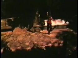 Captura de 'Peepshow Loops 108: '70s & '80s (All Color)' nº 133