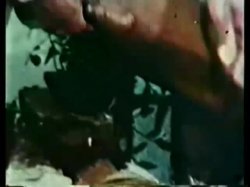 'Peepshow Loops 48: 1970's (Color)' screenshot nº 34