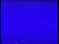 'Peepshow Loops 48: 1970's (Color)' screenshot nº 93