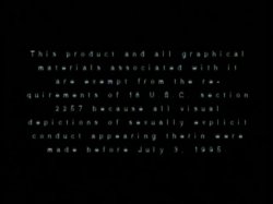 'Peepshow Loops 48: 1970's (Color)' screenshot nº 1