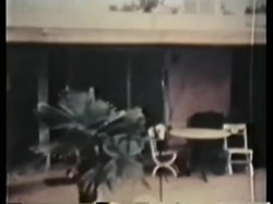 'Peepshow Loops 48: 1970's (Color)' screenshot nº 121