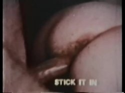 'Peepshow Loops 48: 1970's (Color)' screenshot nº 130