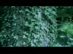 'Le Parfum Du Desir (Perfume Of Desire)' screenshot nº 24