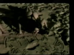 Captura de 'Real Sex World 7' nº 4