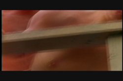Captura de 'Tropic of Eros' nº 25