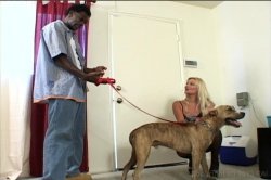 'White Wife Black Cock 2' screenshot nº 35