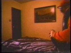 'Superstars of the 70's' screenshot nº 30