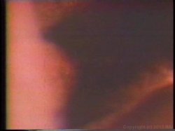 'Superstars of the 70's' screenshot nº 113