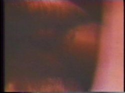 'Superstars of the 70's' screenshot nº 114
