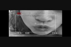 Captura de 'You've Been Busted 2' nº 3