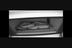 Captura de 'You've Been Busted 2' nº 6