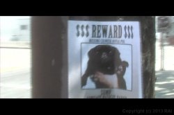 Captura de 'Private Eyes' nº 77