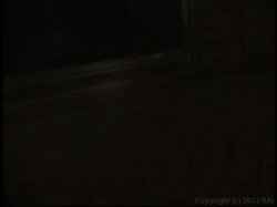 'Trannys Gone Wild 3' screenshot nº 72