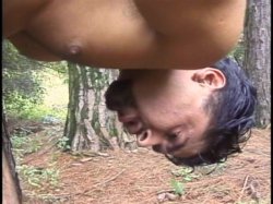 'Trannys Gone Wild 3' screenshot nº 109