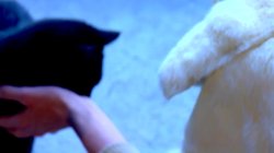 Captura de 'Watch Me Play' nº 127