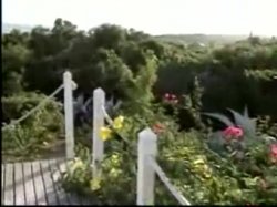 Captura de 'Behind the Scenes : Caribbean Undercover' nº 5