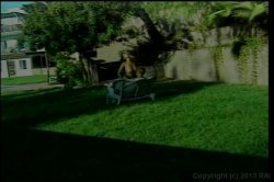 'X-Cuts: Tap That Ass 4' screenshot nº 22