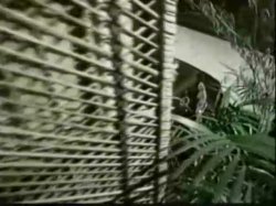 'Chicks, Licks and Dirty Tricks' screenshot nº 108