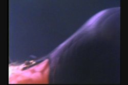 Captura de 'Blonde Justice 3' nº 26