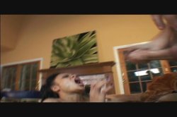 'Manuel Ferrara Does Them All Vol.2' screenshot nº 96