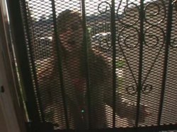 'POV Blow Pops #6' screenshot nº 29