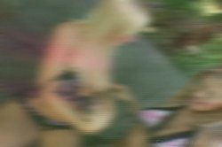 'Pussy Playhouse 13' screenshot nº 17