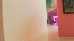 'Phat Bottom Girls 2' screenshot nº 1