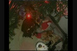 'Group Sex 2: Wild Bunch!' screenshot nº 51