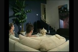'Group Sex 2: Wild Bunch!' screenshot nº 1