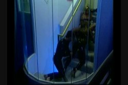 'Group Sex 2: Wild Bunch!' screenshot nº 126