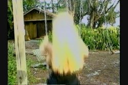 'Double D Reunion' screenshot nº 10