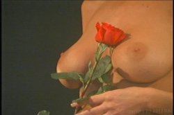 Captura de 'Superstars Of Lesbianism: Super Blondes' nº 117