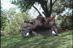 'Da Thickness Vol. 2' screenshot nº 24