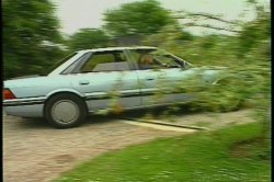 'Mammary Manor' screenshot nº 88