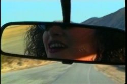 Captura de 'Palm Springs or Bust' nº 2