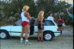 Captura de 'Palm Springs or Bust' nº 21