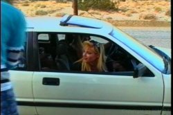 Captura de 'Palm Springs or Bust' nº 22