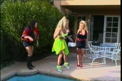 Captura de 'Palm Springs or Bust' nº 27
