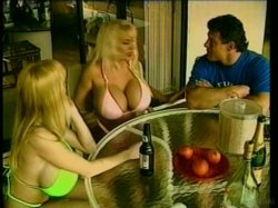 'Big Boob Bikini Bash' screenshot nº 107